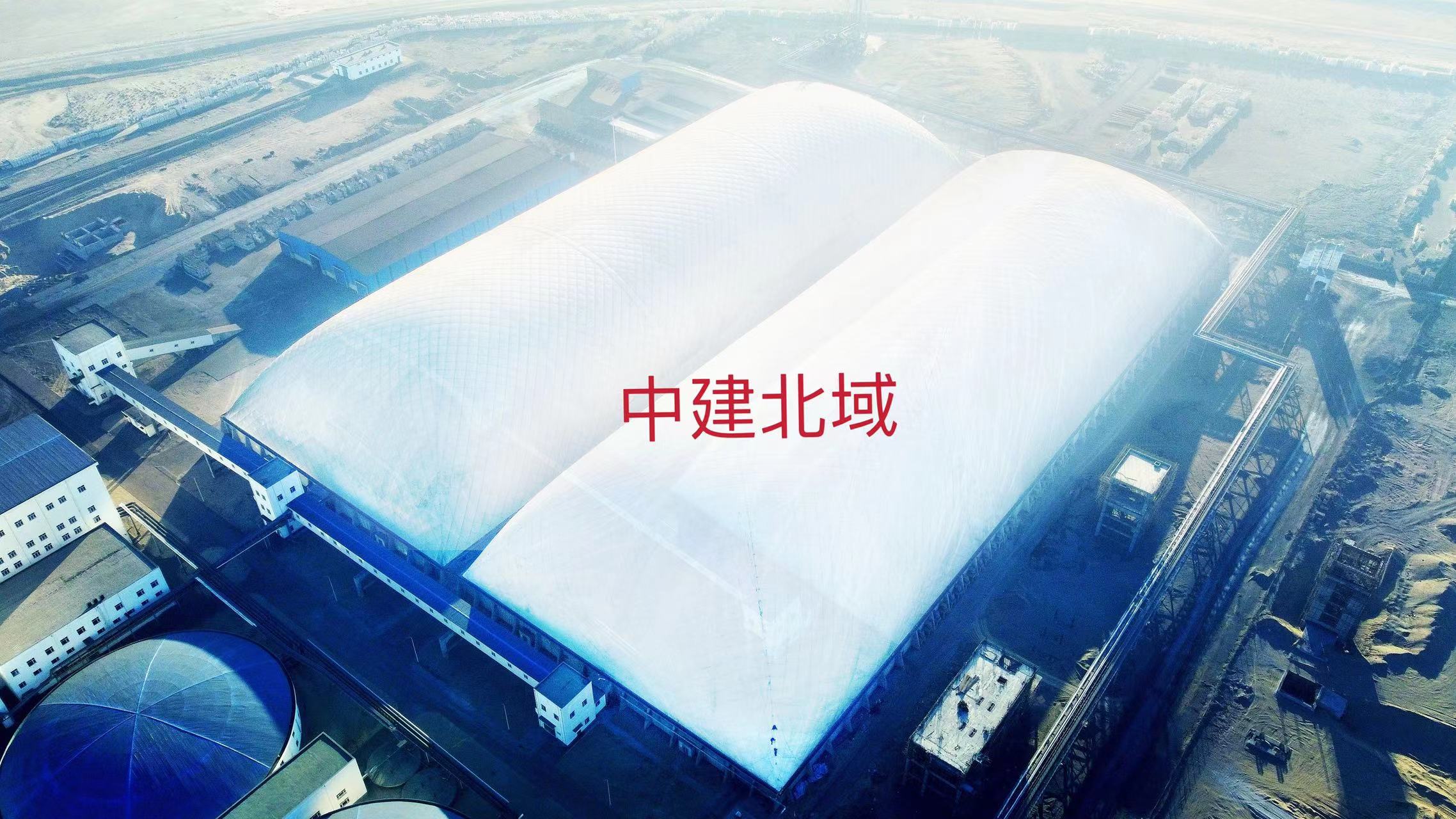 黑貓1.jpg 黑貓1.jpg